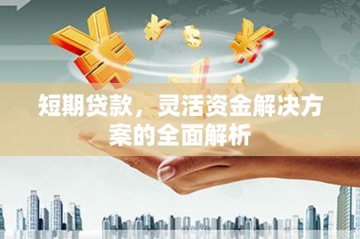 普兰店短期贷款，灵活资金解决方案的全面解析