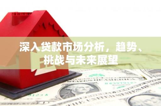 普兰店深入贷款市场分析，趋势、挑战与未来展望