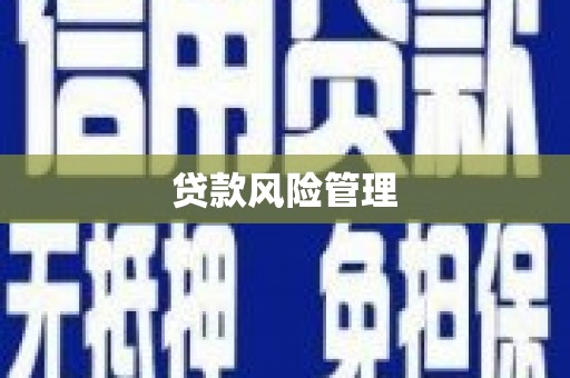 普兰店贷款风险管理