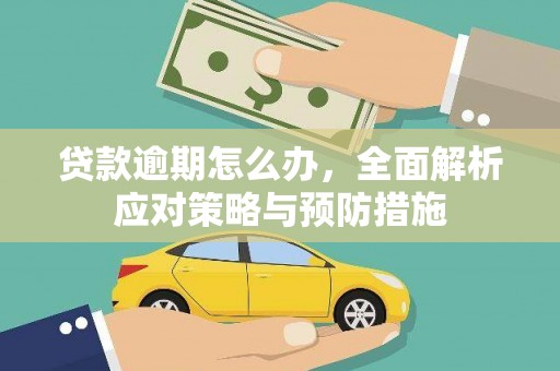普兰店贷款逾期怎么办，全面解析应对策略与预防措施