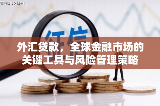 普兰店外汇贷款，全球金融市场的关键工具与风险管理策略