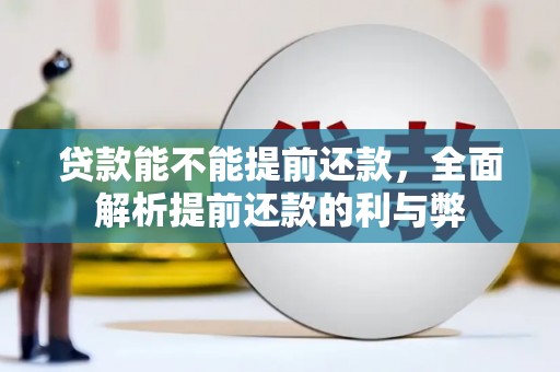 普兰店贷款能不能提前还款，全面解析提前还款的利与弊