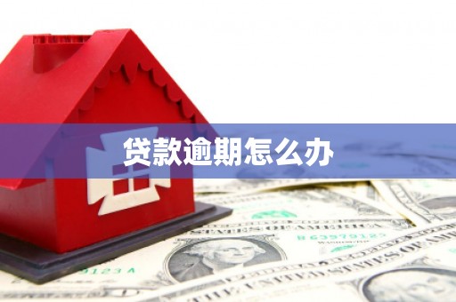 普兰店贷款逾期怎么办