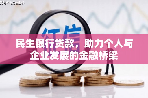 普兰店民生银行贷款，助力个人与企业发展的金融桥梁