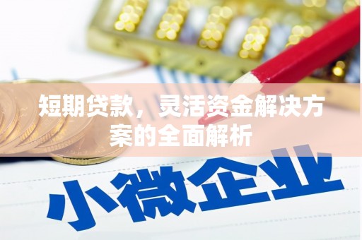 普兰店短期贷款，灵活资金解决方案的全面解析