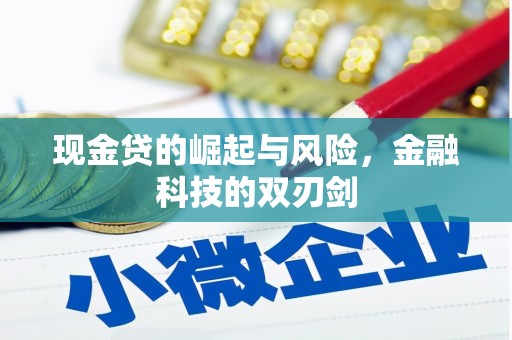 普兰店现金贷的崛起与风险，金融科技的双刃剑