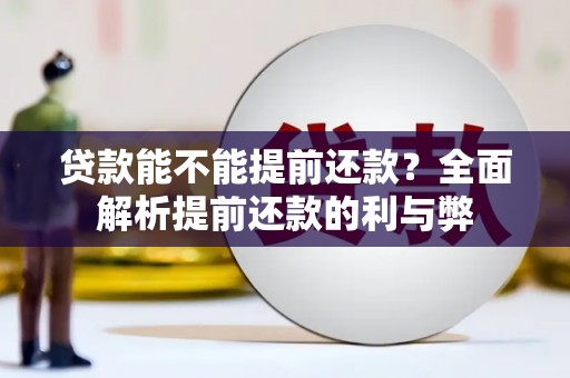 普兰店贷款能不能提前还款？全面解析提前还款的利与弊