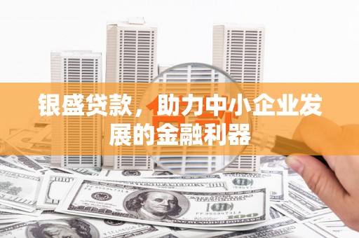 普兰店银盛贷款，助力中小企业发展的金融利器