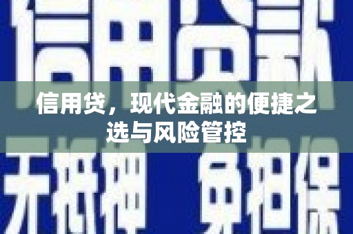 普兰店信用贷，现代金融的便捷之选与风险管控