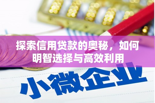 普兰店探索信用贷款的奥秘，如何明智选择与高效利用