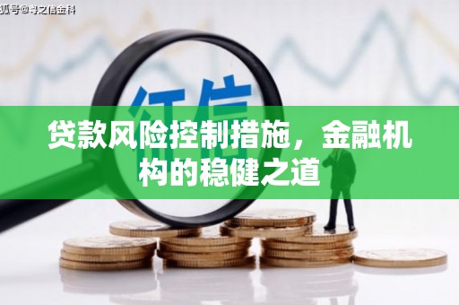 普兰店贷款风险控制措施，金融机构的稳健之道