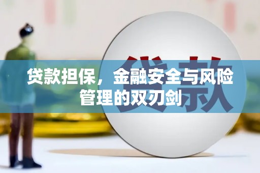 普兰店贷款担保，金融安全与风险管理的双刃剑