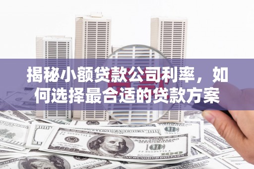 普兰店揭秘小额贷款公司利率，如何选择最合适的贷款方案