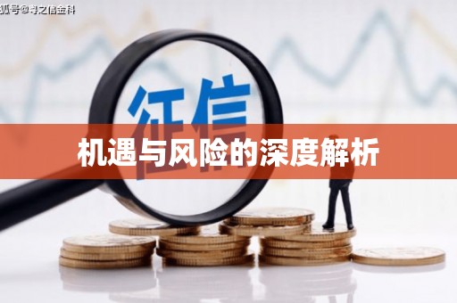 普兰店机遇与风险的深度解析