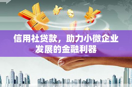 普兰店信用社贷款，助力小微企业发展的金融利器