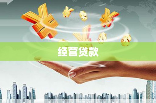 普兰店经营贷款
