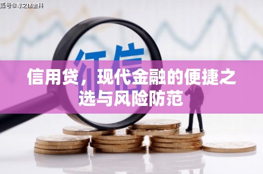 普兰店信用贷，现代金融的便捷之选与风险防范