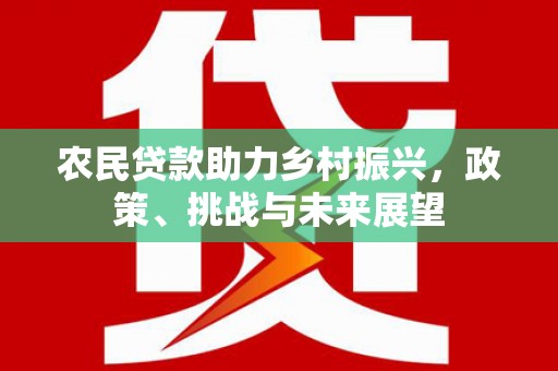 普兰店农民贷款助力乡村振兴，政策、挑战与未来展望