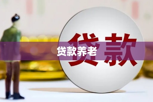 普兰店贷款养老