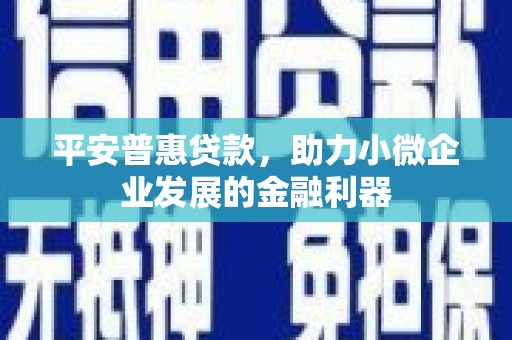 普兰店平安普惠贷款，助力小微企业发展的金融利器