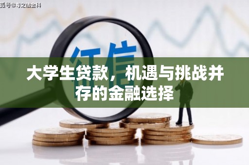 普兰店大学生贷款，机遇与挑战并存的金融选择