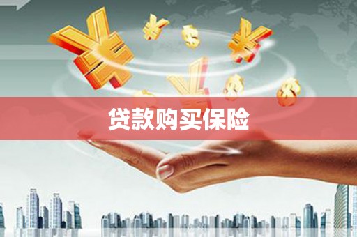 普兰店贷款购买保险