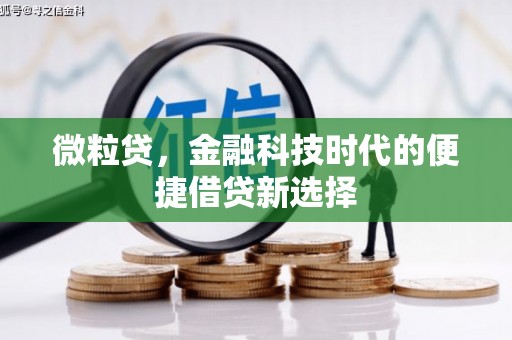 普兰店微粒贷，金融科技时代的便捷借贷新选择