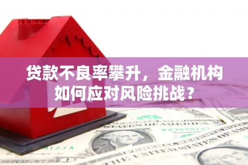 普兰店贷款不良率攀升，金融机构如何应对风险挑战？