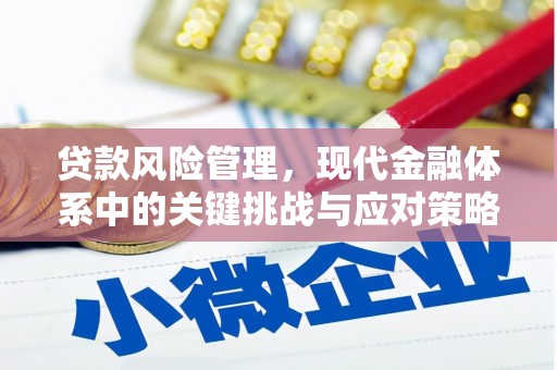 普兰店贷款风险管理，现代金融体系中的关键挑战与应对策略