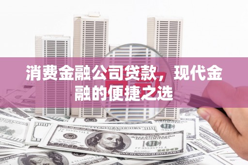 普兰店消费金融公司贷款，现代金融的便捷之选