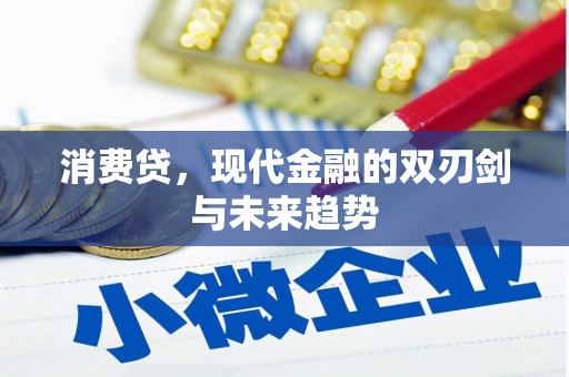 普兰店消费贷，现代金融的双刃剑与未来趋势