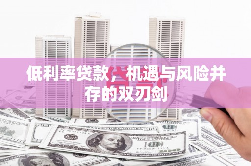 普兰店低利率贷款，机遇与风险并存的双刃剑