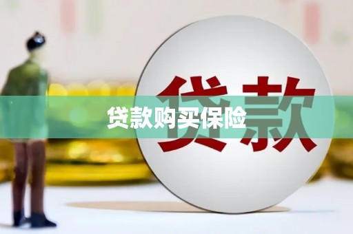 普兰店贷款购买保险